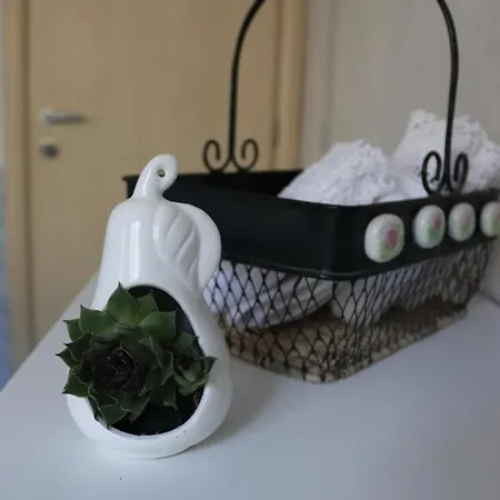 Glavas 马卡尔斯卡